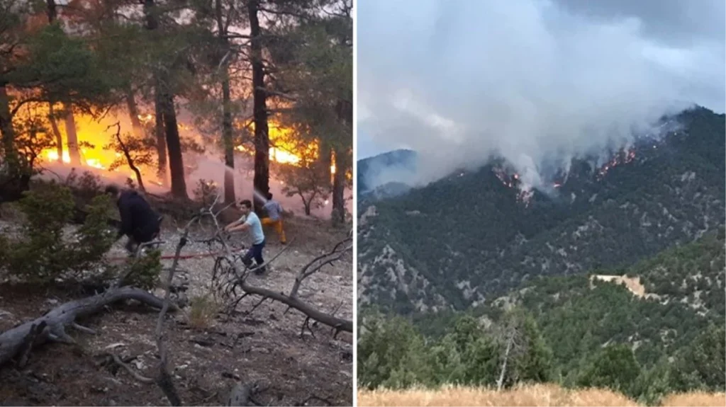 Bolu’da ormana düşen yıldırım yangına sebep oldu! Karadan müdahale zor, havadan destek veriliyor