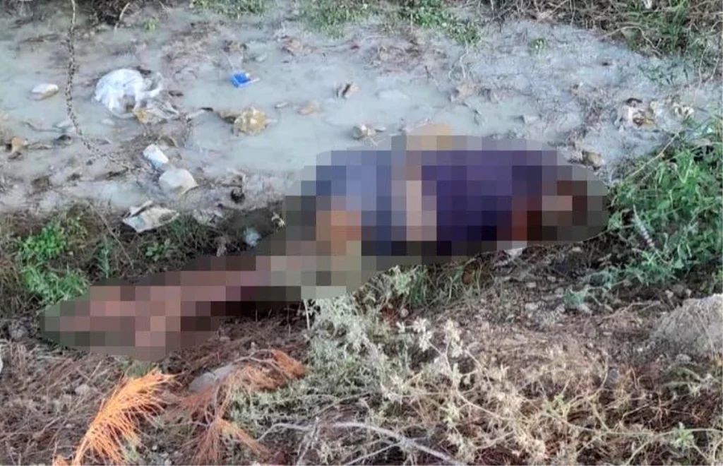 Adana’da dere kenarında kadın cesedi bulundu