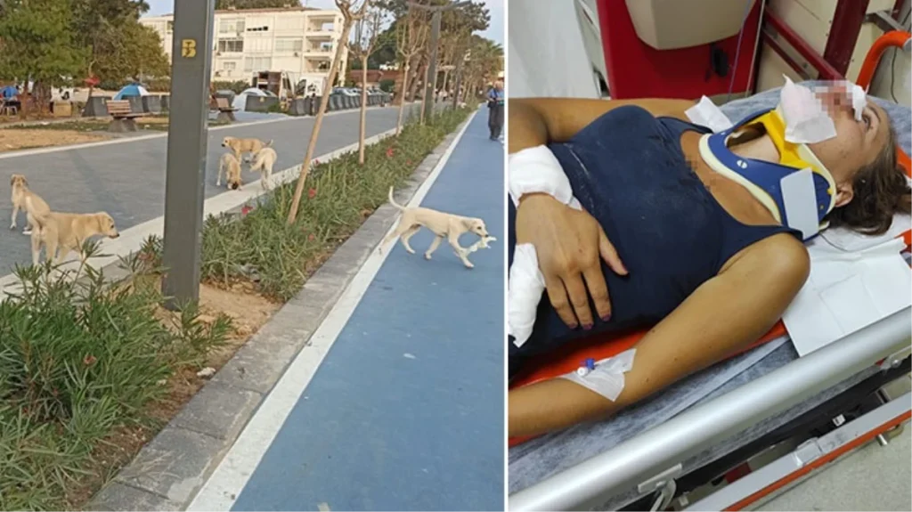 Balıkesir’de başıboş sokak köpeklerinin saldırdığı kadın ve kızı, ölümden döndü