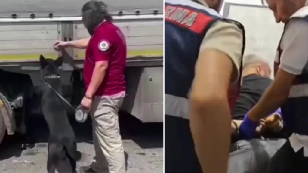 Emniyet’ten 4 ilde kritik operasyon! Baskınlarda 14 zehir taciri kıskıvrak yakalandı