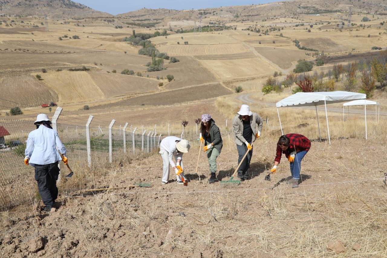 Ankara Savaşı'ndan kalma toplu mezar keşfedildi