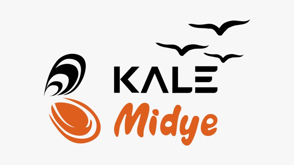 KALE MİDYE HAKKINDA
