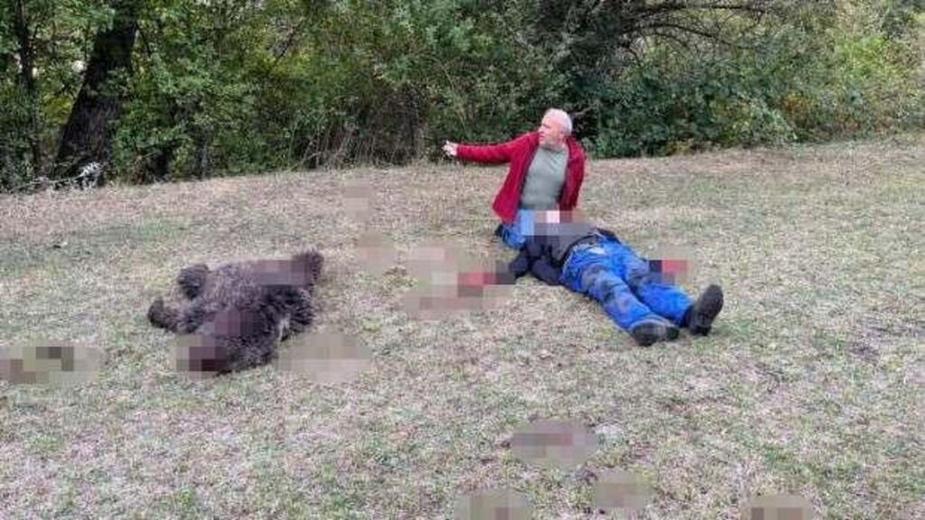 Artvin’den feci olay! Yaşlı adamı ayının elinden komşuları aldı