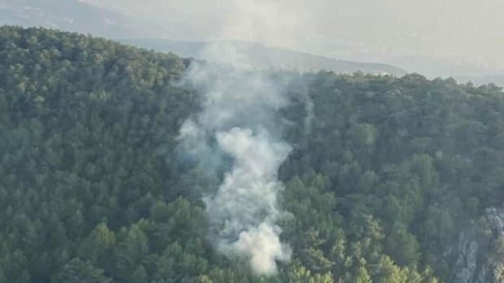 İzmir’de orman yangını: 58 dakikada kontrol altına alındı