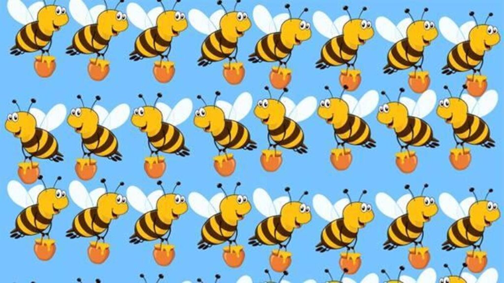 Resimde diğerlerinden farklı olan bal arısını 9 saniye içerisine fark edebilir misin?