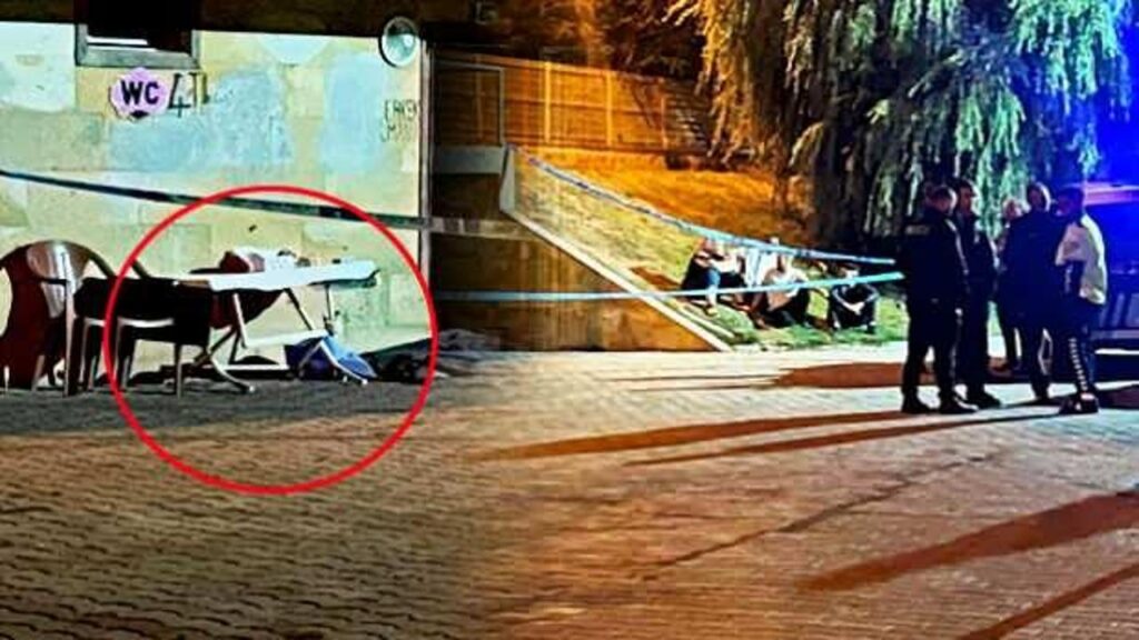 Sandalyeden düştü, canından oldu