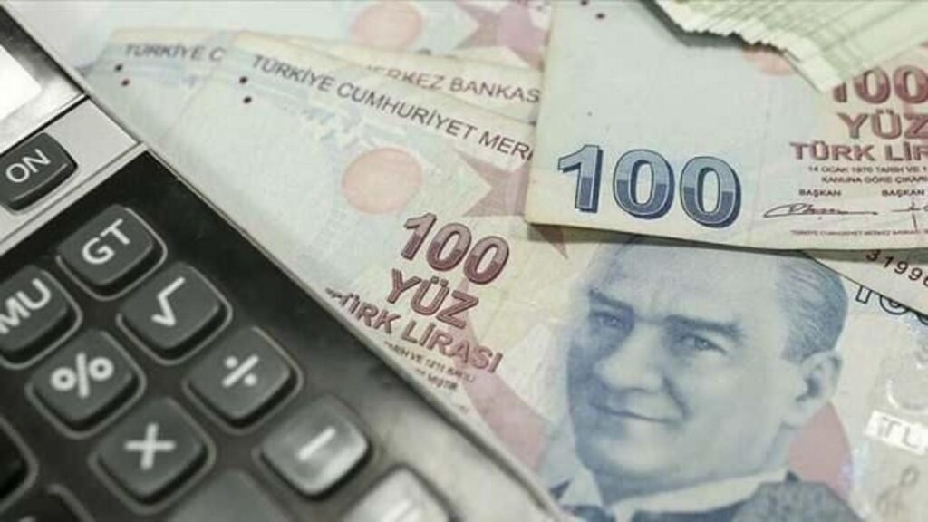 TÜİK açıkladı: 2022’de GSYH oranı yüzde 2,1 oldu
