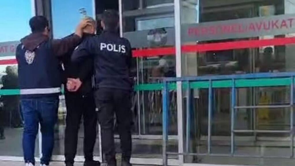 Fatih’te sokak kedisini çantasına koyarak götüren zanlı tutuklandı