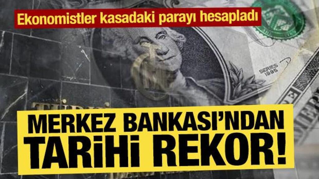 Merkez Bankası’nın rezervlerinde tarihi rekor