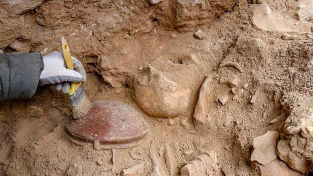 Van’da 3 bin 200 yıl önce yapılan beyin ameliyatı izlerine rastlandı