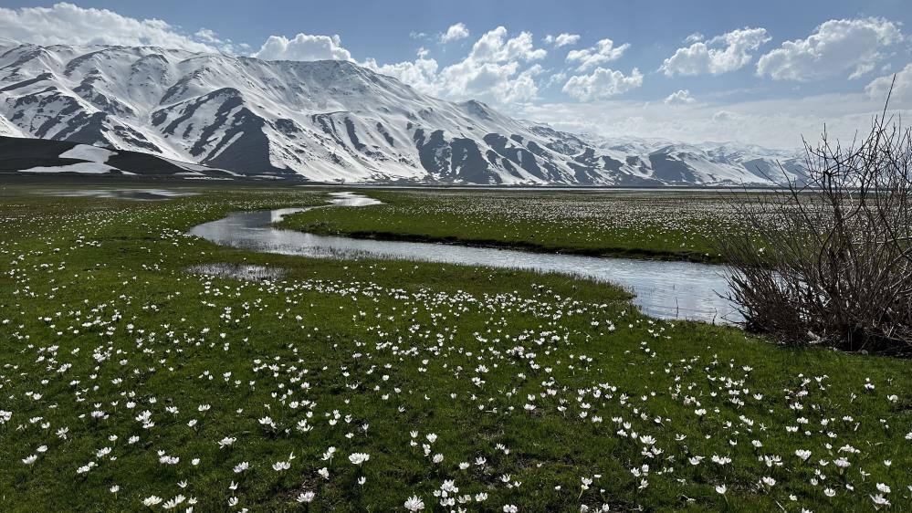 Yüksekova'da kardelen ve çiğdemler çiçek açtı