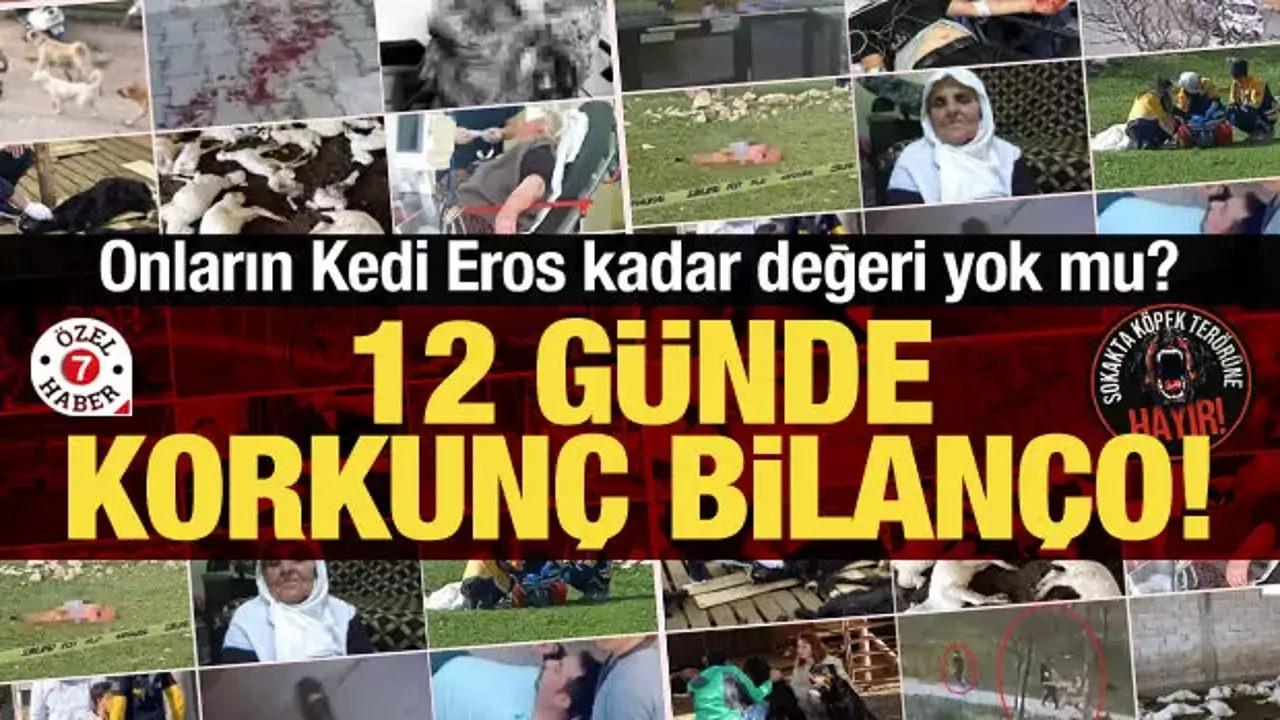 Yöntem şoke etti: Hayvancılığa büyük darbe! 10 günde sayı 132'ye yükseldi