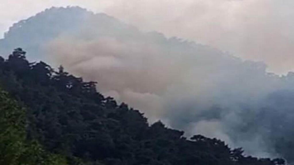 Antalya’da orman yangını! Çok sayıda ekip harekete geçti