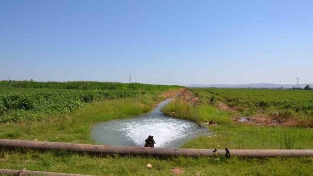 Dicle Elektrikten tarımsal sulama abonelerine borç uyarısı!