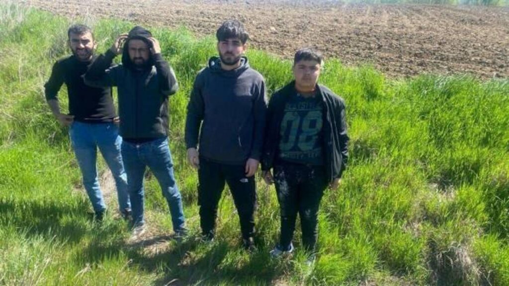 Edirne’de 4 düzensiz göçmen yakalandı