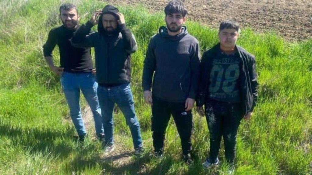 Edirne’de 4 kaçak göçmen yakalandı