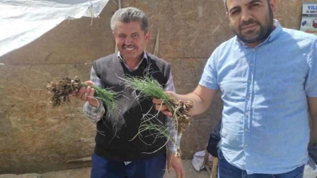 Fiyatını duyan dönüp bir daha bakıyor: 5 bin liradan alıcı buluyor