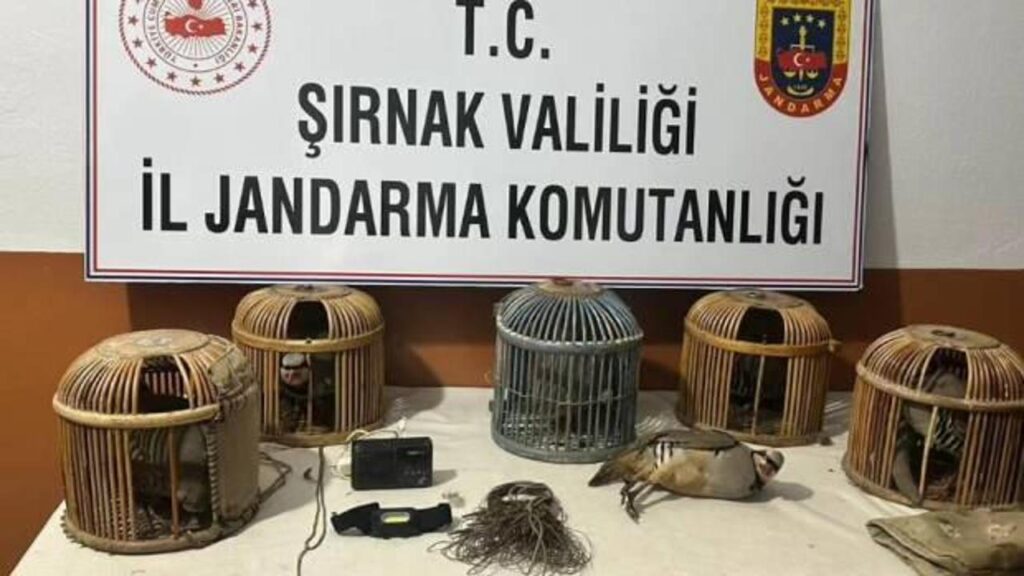 Kaçak keklik avlayan üç kişiye 122 bin 630 lira ceza