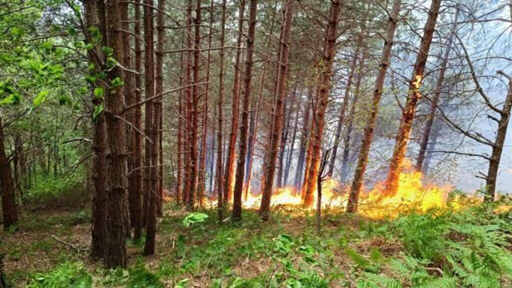 Kastamonu’da aynı anda orman ve köy yangını!