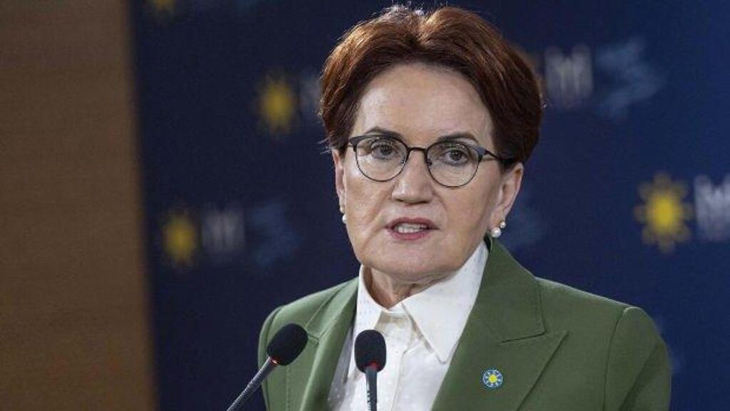 Meral Akşener AVM gezisinde görüntülendi