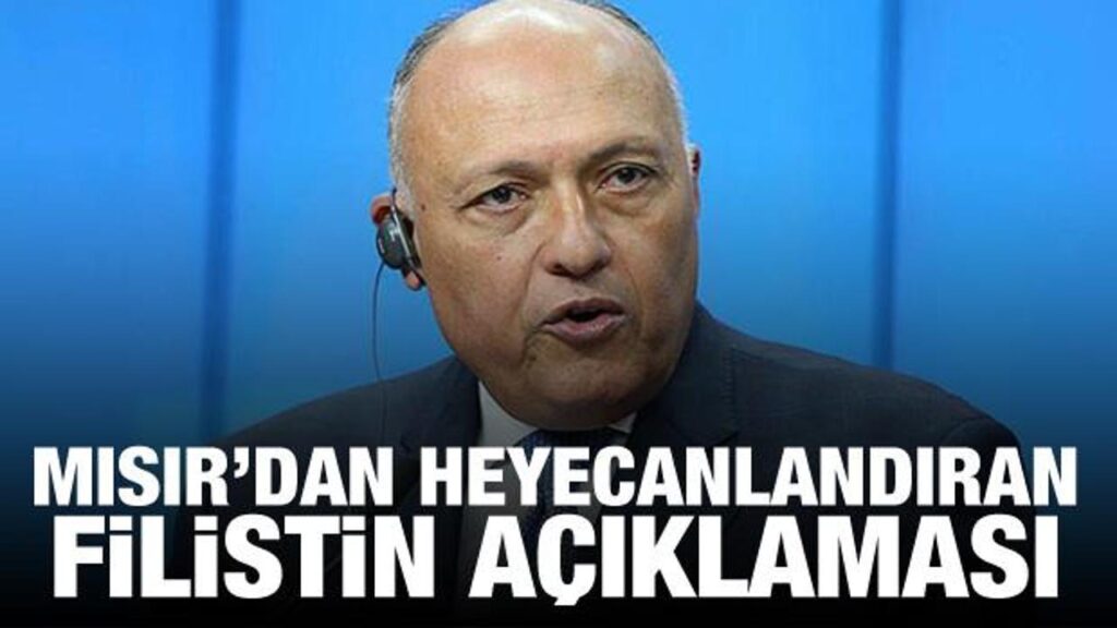 Mısır: Arap dünyasında Filistin için hareketlilik var