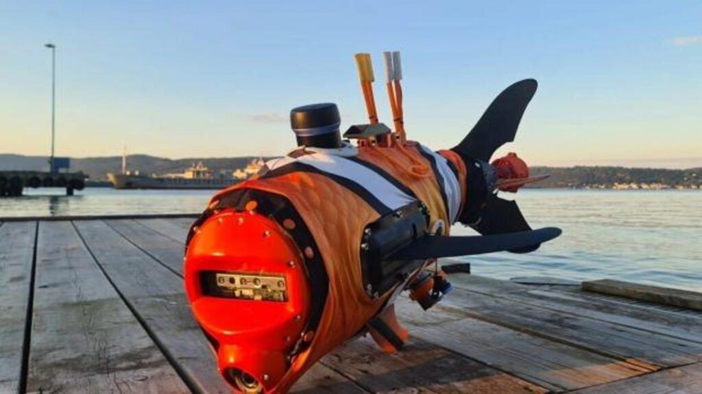 Orta Doğu’daki su yollarına süper büyük boy palyaço balığı robotları geliyor