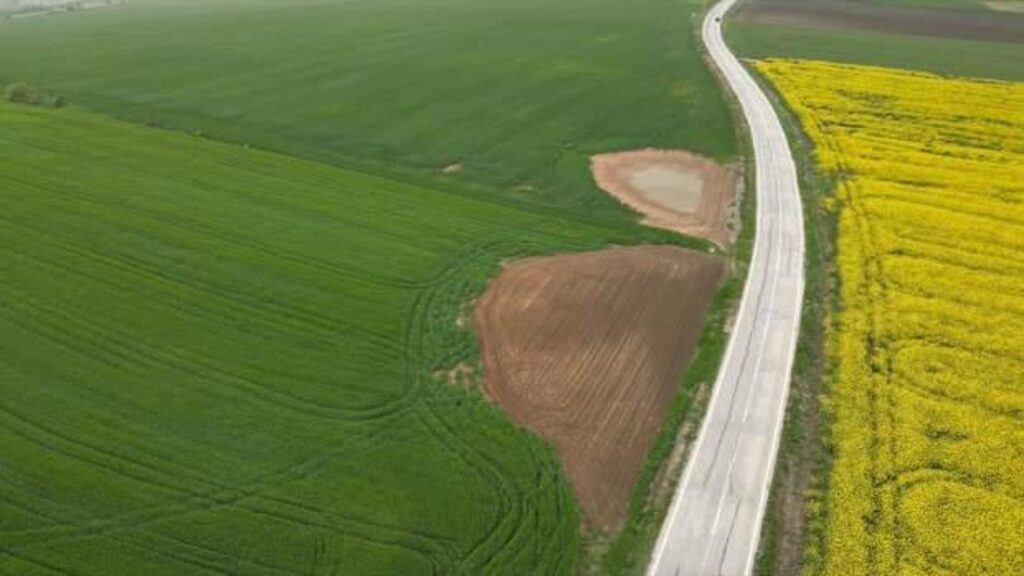 Trakya’da etkili olan yağışlar buğday ve kanola üreticisini ümitlendirdi