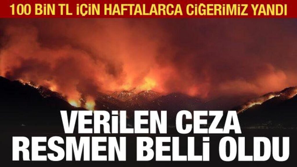 Bodrum’da ormanı yakan sanığın cezası belli oldu