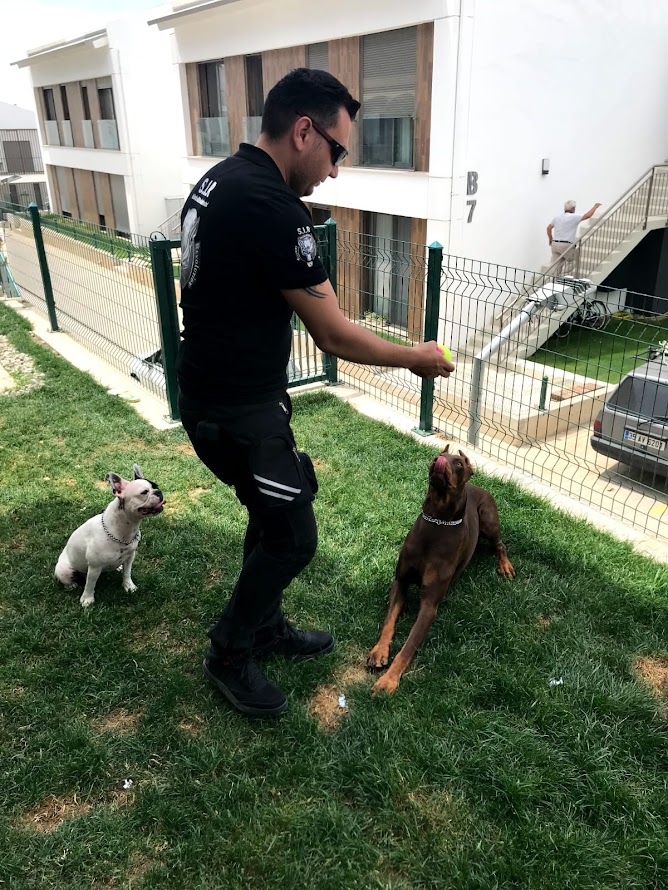 S.I.R K9 Köpek Eğitim Akademisi: Şeffaf ve Etkili Eğitim Programları