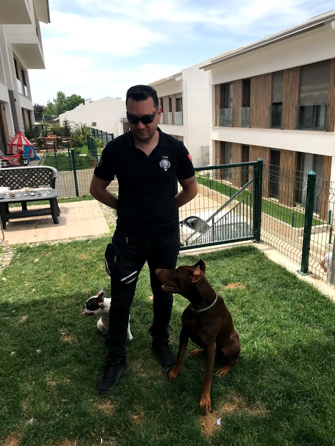 S.I.R K9 Köpek Eğitim Akademisi: Şeffaf ve Etkili Eğitim Programları