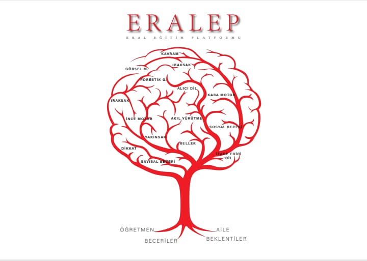 Eralep ile Eral Nıt 5/17: 16 Alt Alanda Kapsamlı Sonuçlar